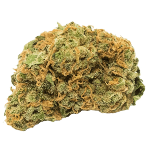 Buy Cracker Jack Weed Strain