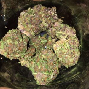 Buy Darth Vader OG Kush Online