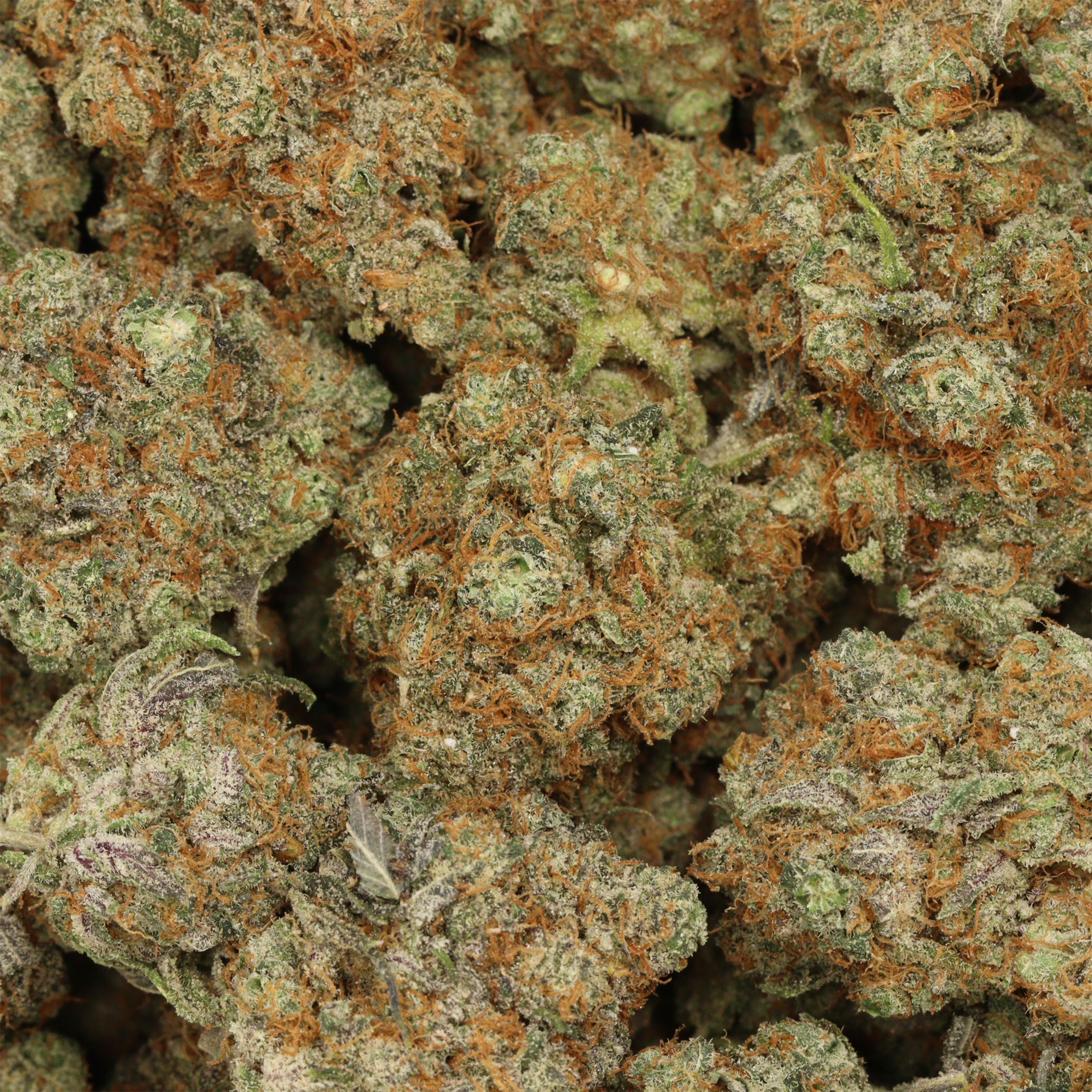 Buy Diamond OG Strain Online