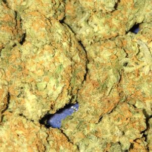 Buy Dream Queen Weed Online