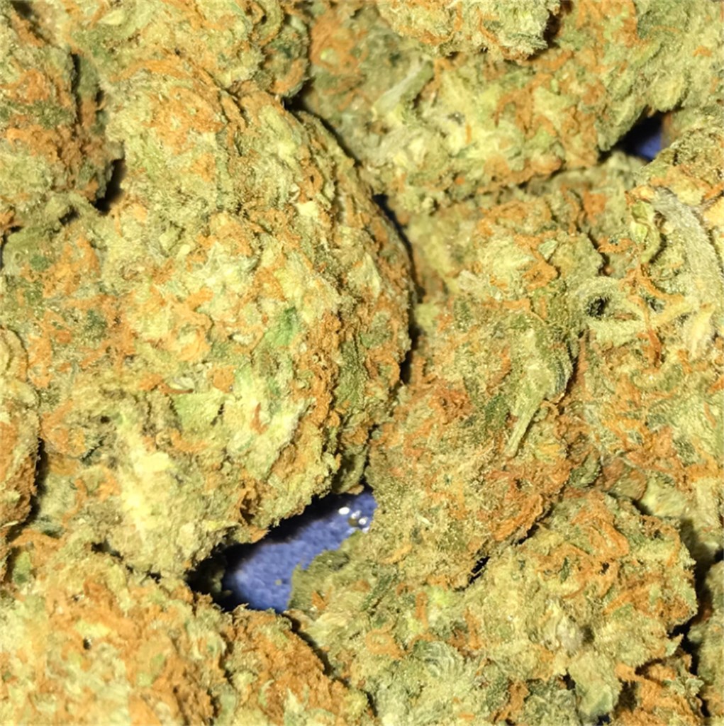 Buy Dream Queen Weed Online