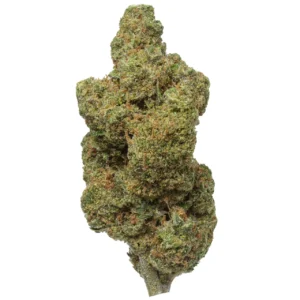 Buy Durban Poison Weed Strain