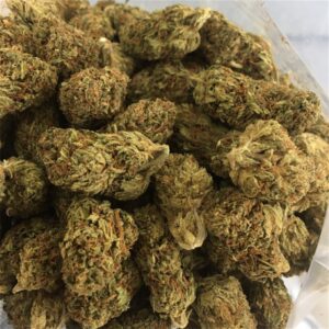 Buy Dutch Dragon Weed Strain