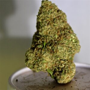 Buy Euphoria Weed Strain online