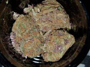 Buy Forbidden Fruit Weed Online