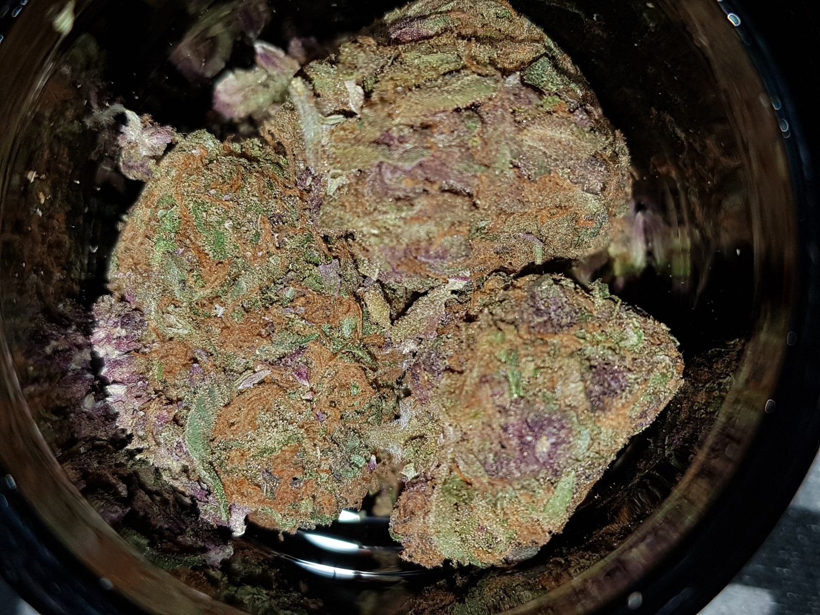 Buy Forbidden Fruit Weed Online