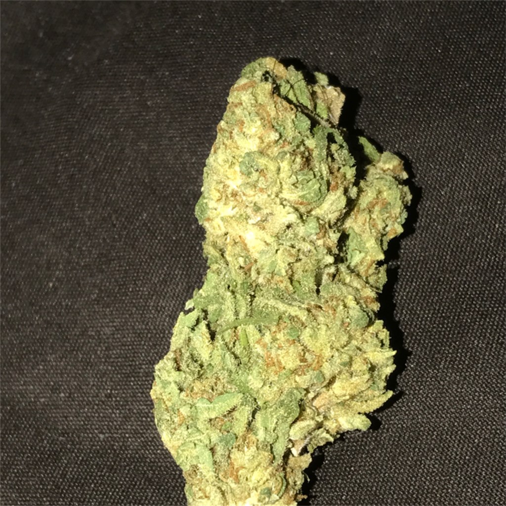 Buy G13 Cannabis Online