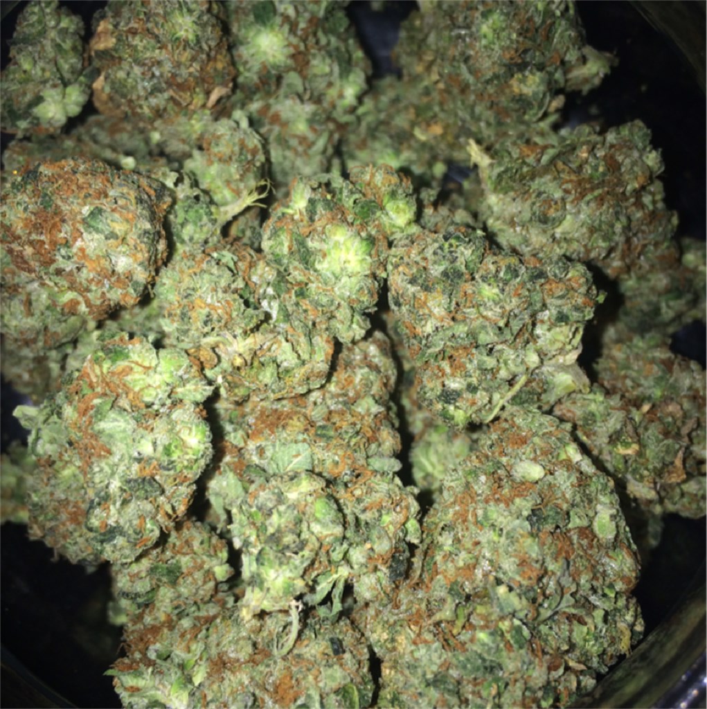Buy GG4 Weed Strain Online