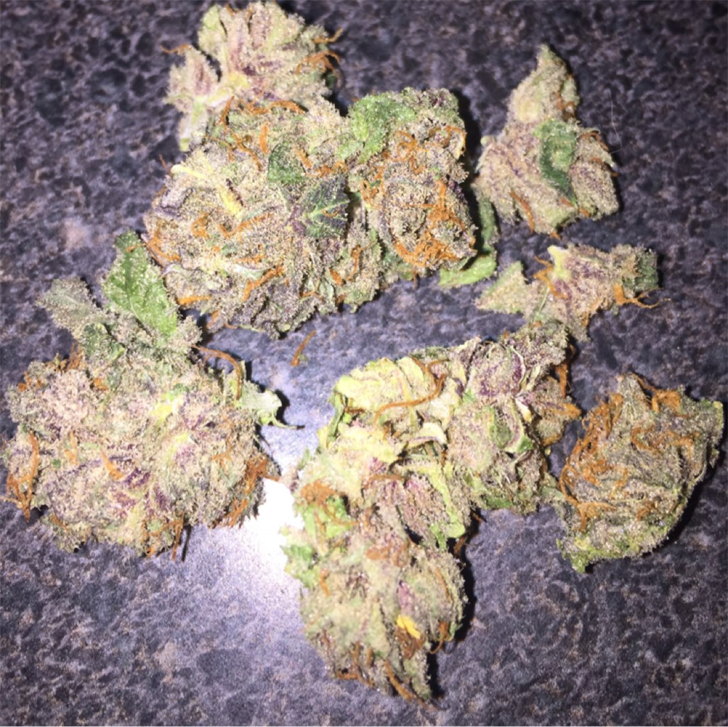 Buy Galactic Jack Weed Strain online