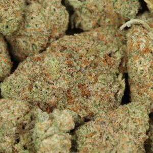 Buy Gelato #33 Kush Online