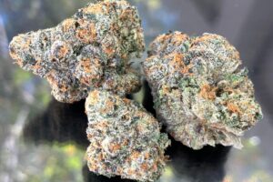 Buy Gelato #41 Weed Strain