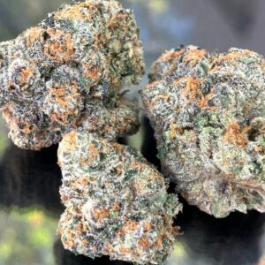 Buy Gelato #41 Weed Strain
