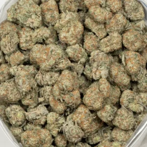 Buy Girl Scout Cookies Weed Strain Online