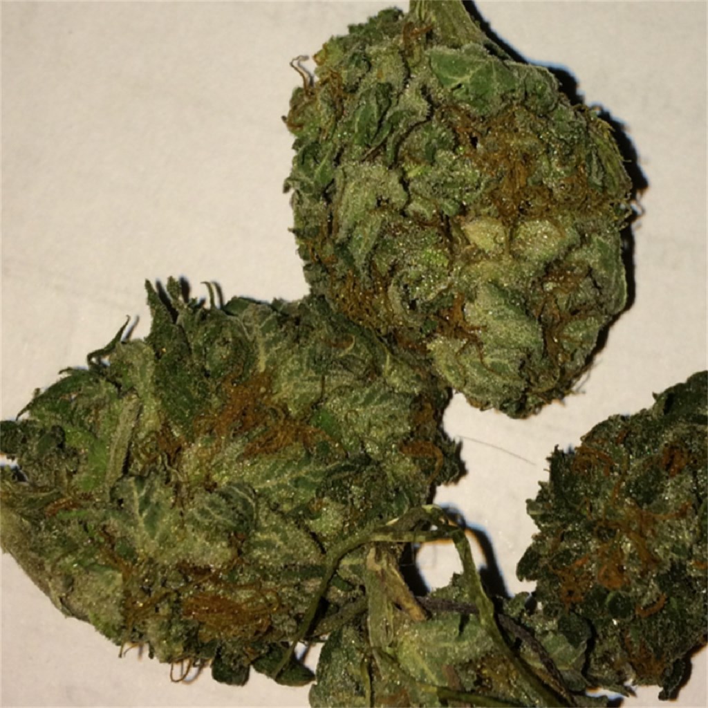 Buy God Bud Weed Strain Online