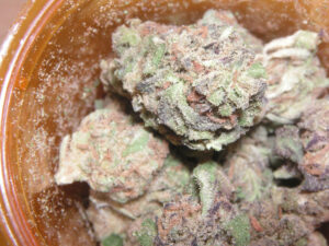 Buy God's Gift weed Online