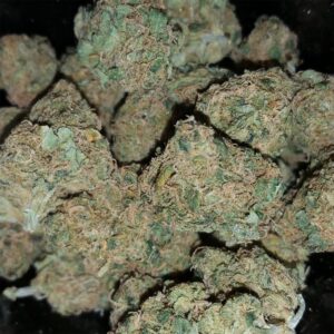 Buy Golden Goat Weed Strain