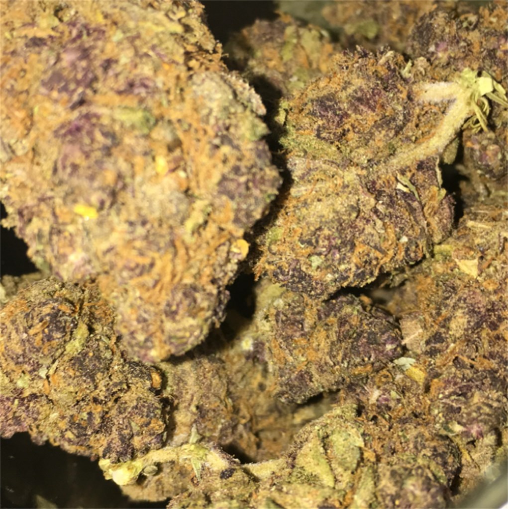 Buy Granddaddy Purple Online