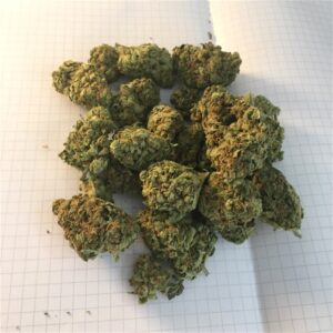 Buy Grape Ape Weed Strain
