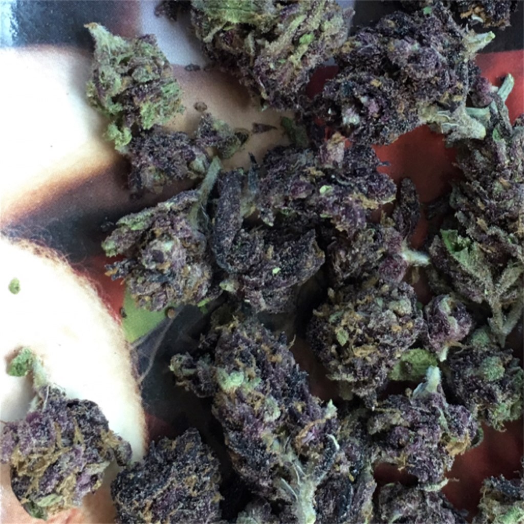 Buy Grape God Weed Online