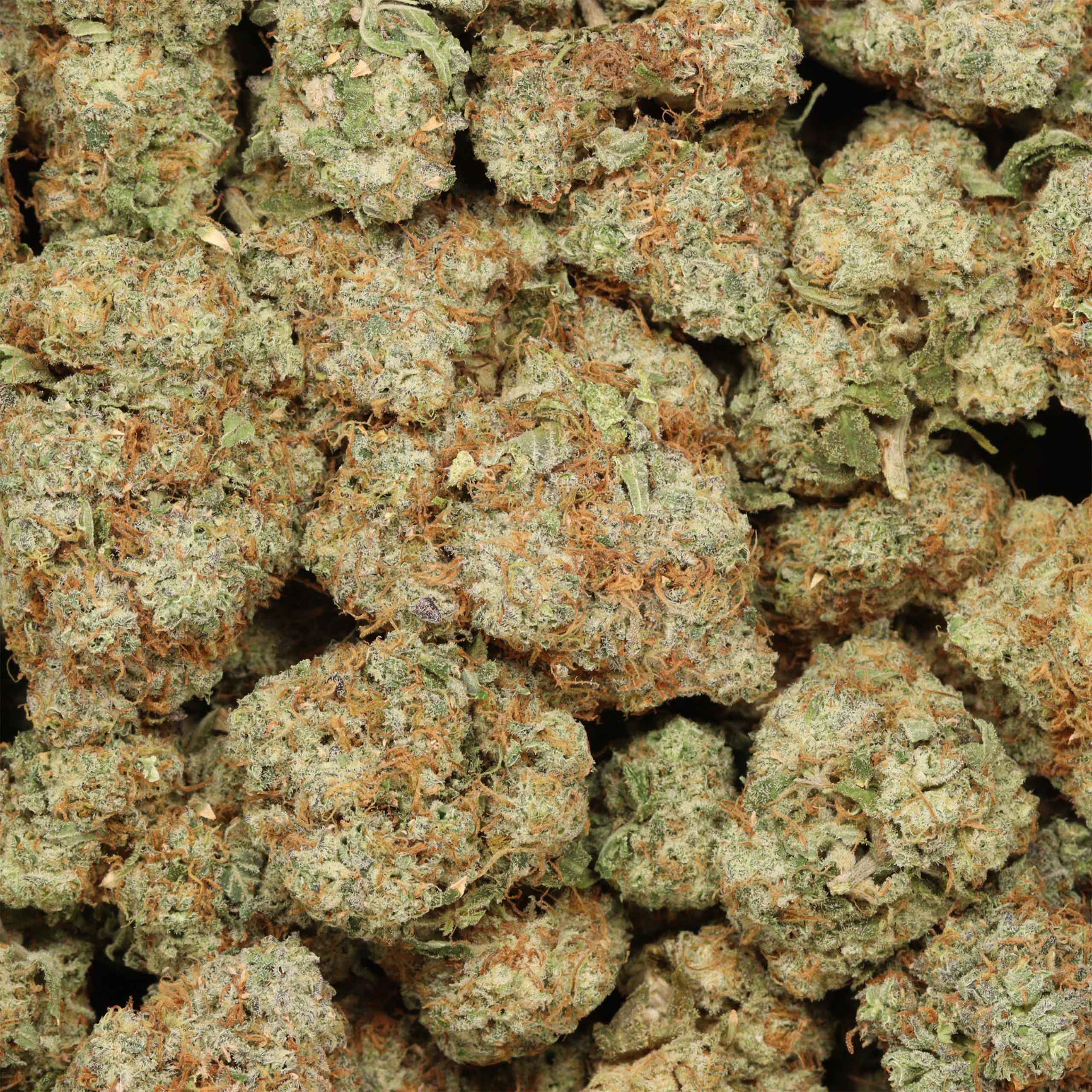 Buy Grease Monkey Weed Online