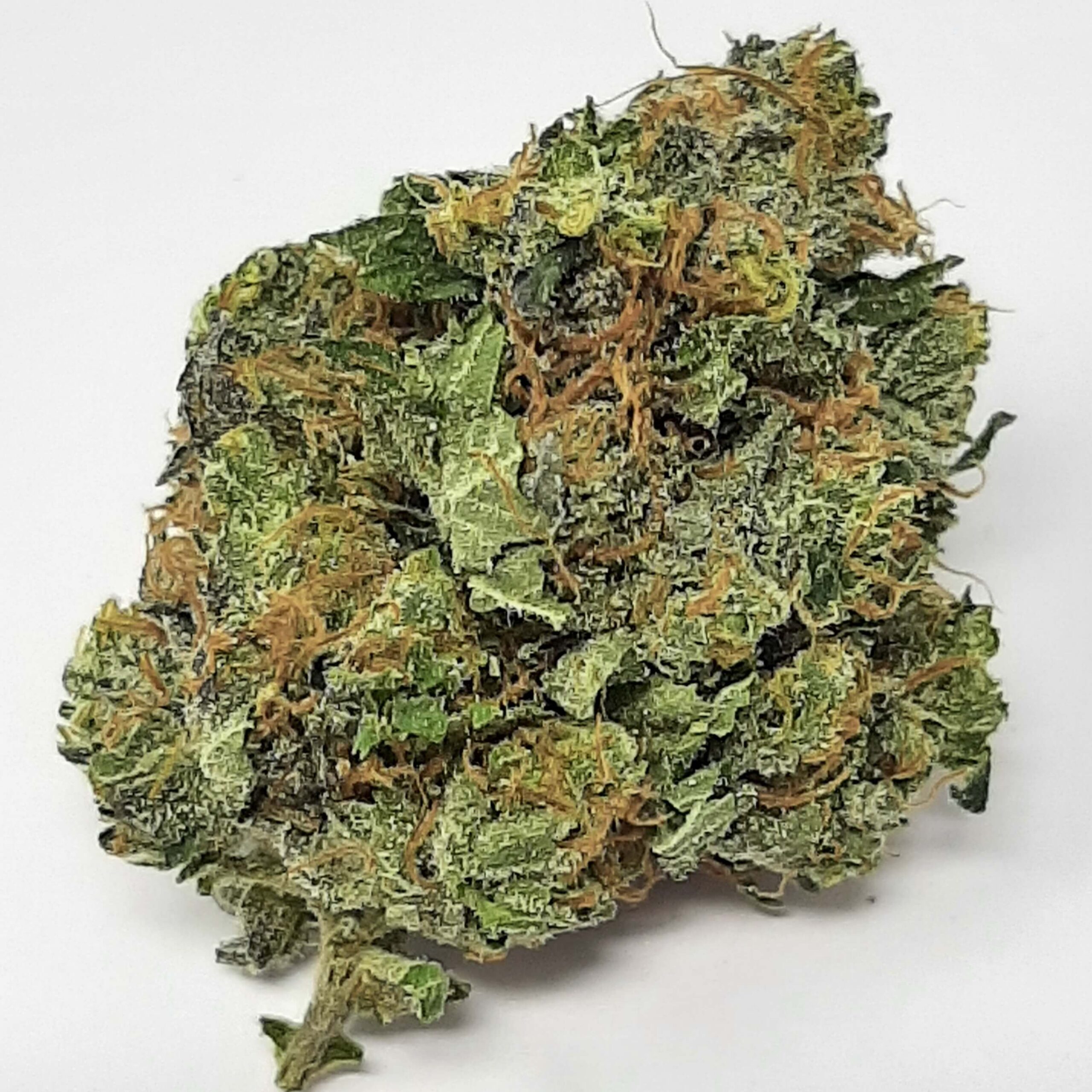 Buy Green Goblin Weed Strain
