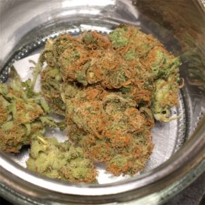 Buy Hash Plant Weed Online