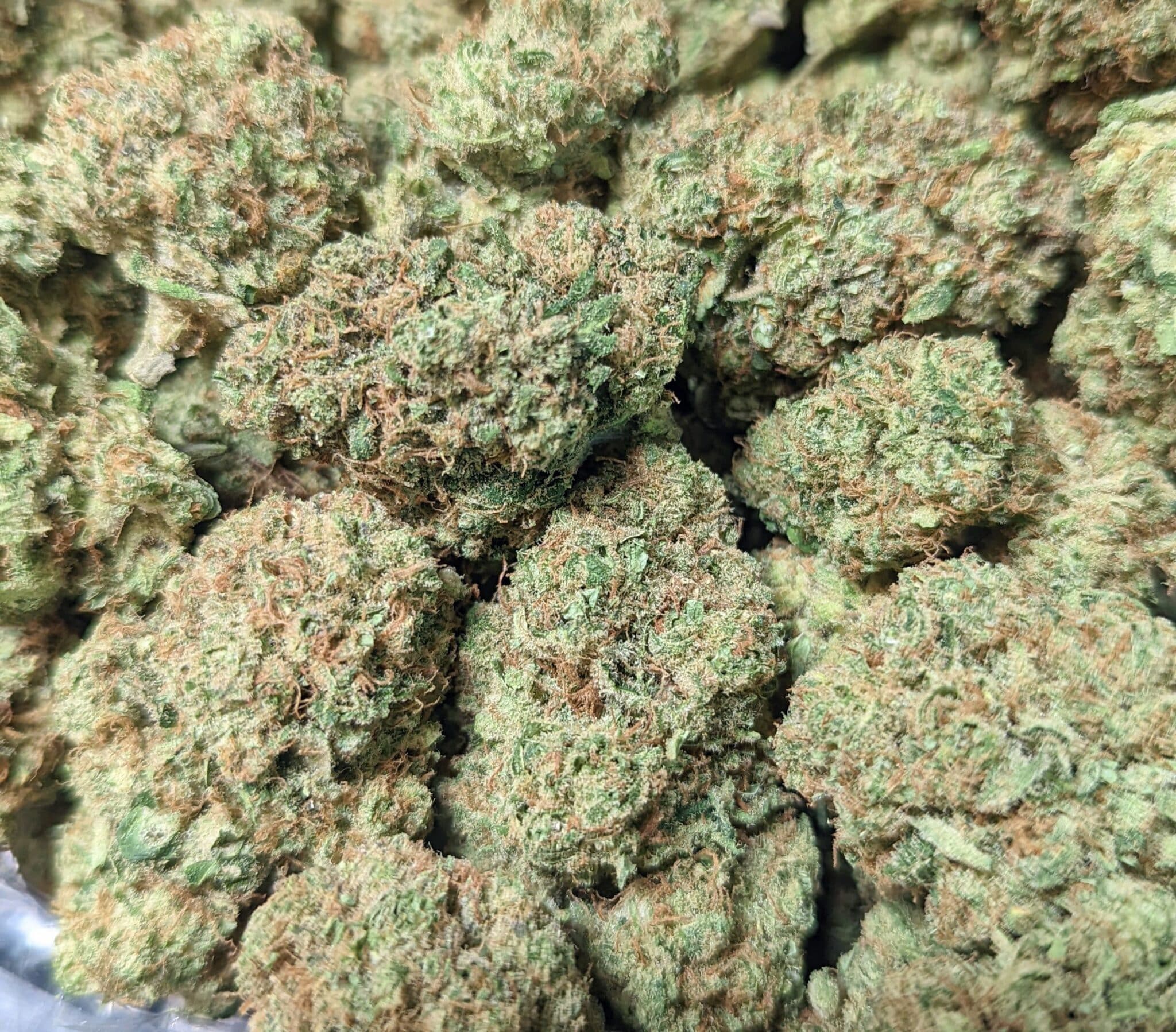 Buy Hawaiian Cannabis Strain Online