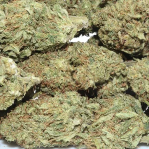 Buy Hawaiian Haze Hemp Online