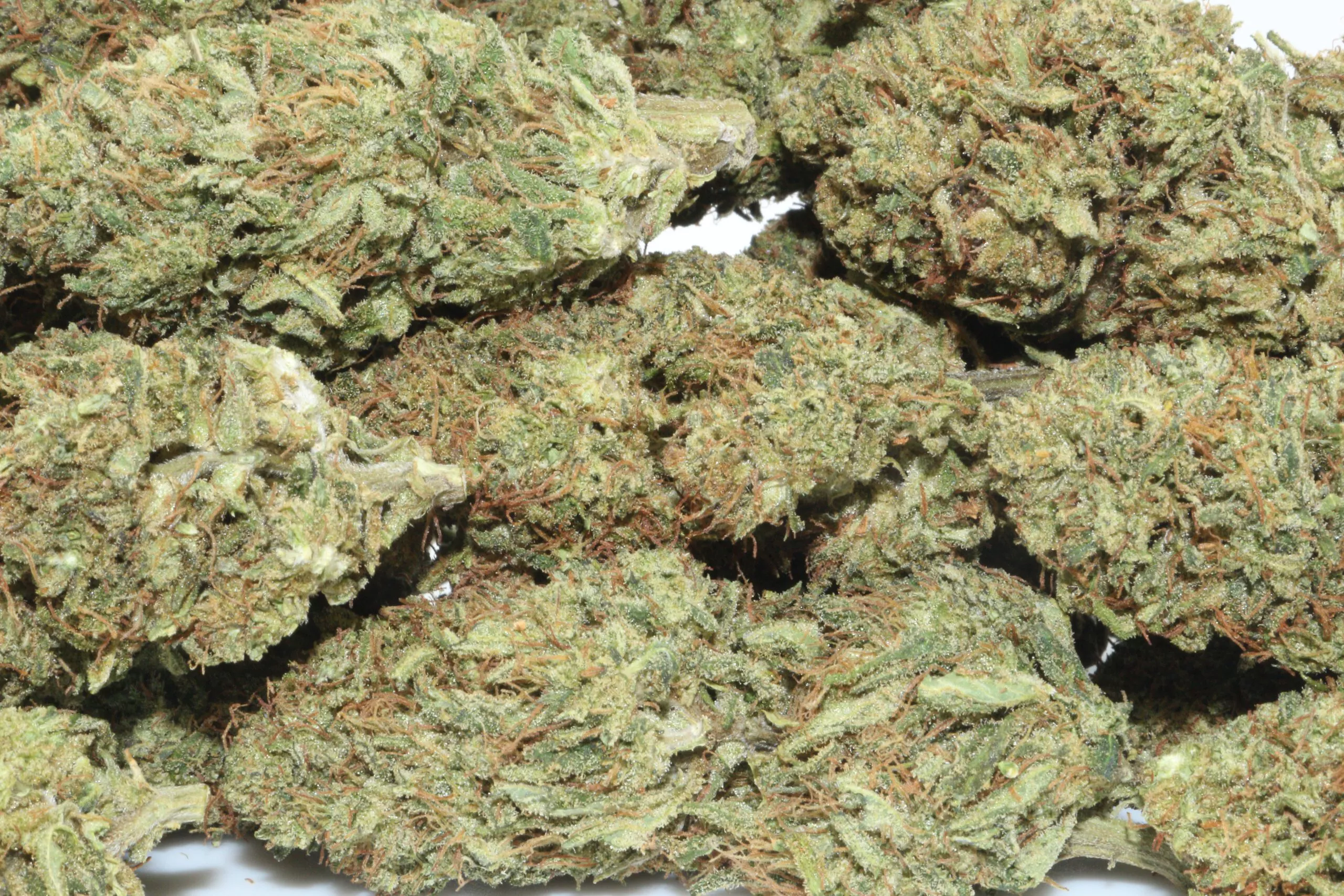 Buy Hawaiian Haze Hemp Online