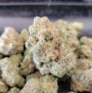 Buy Hawaiian Punch Weed Strain