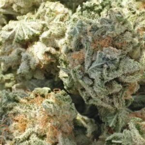 Buy Headband Weed Strain
