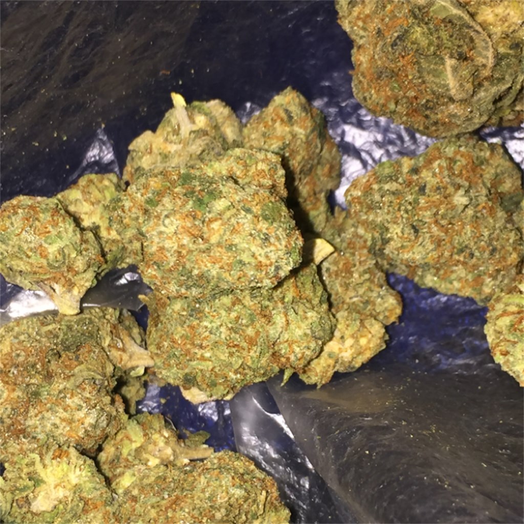 Buy Holy Grail OG Kush Online