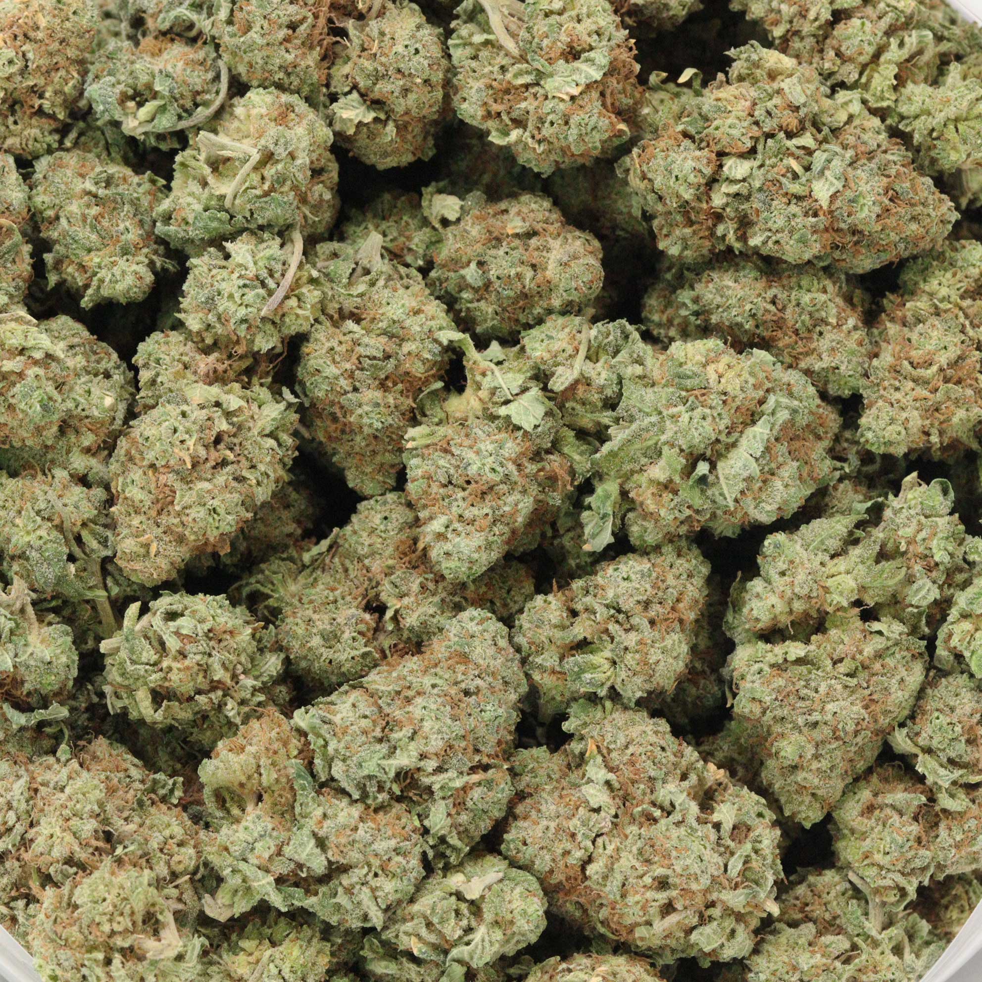Buy Island Sweet Skunk Weed Online