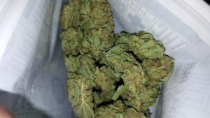Buy Jack Flash Cannabis Online