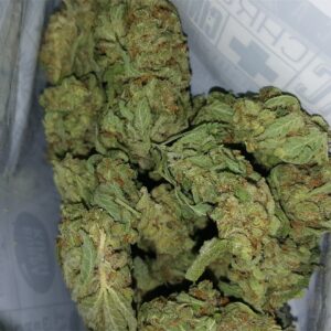 Buy Jack Flash Cannabis Online