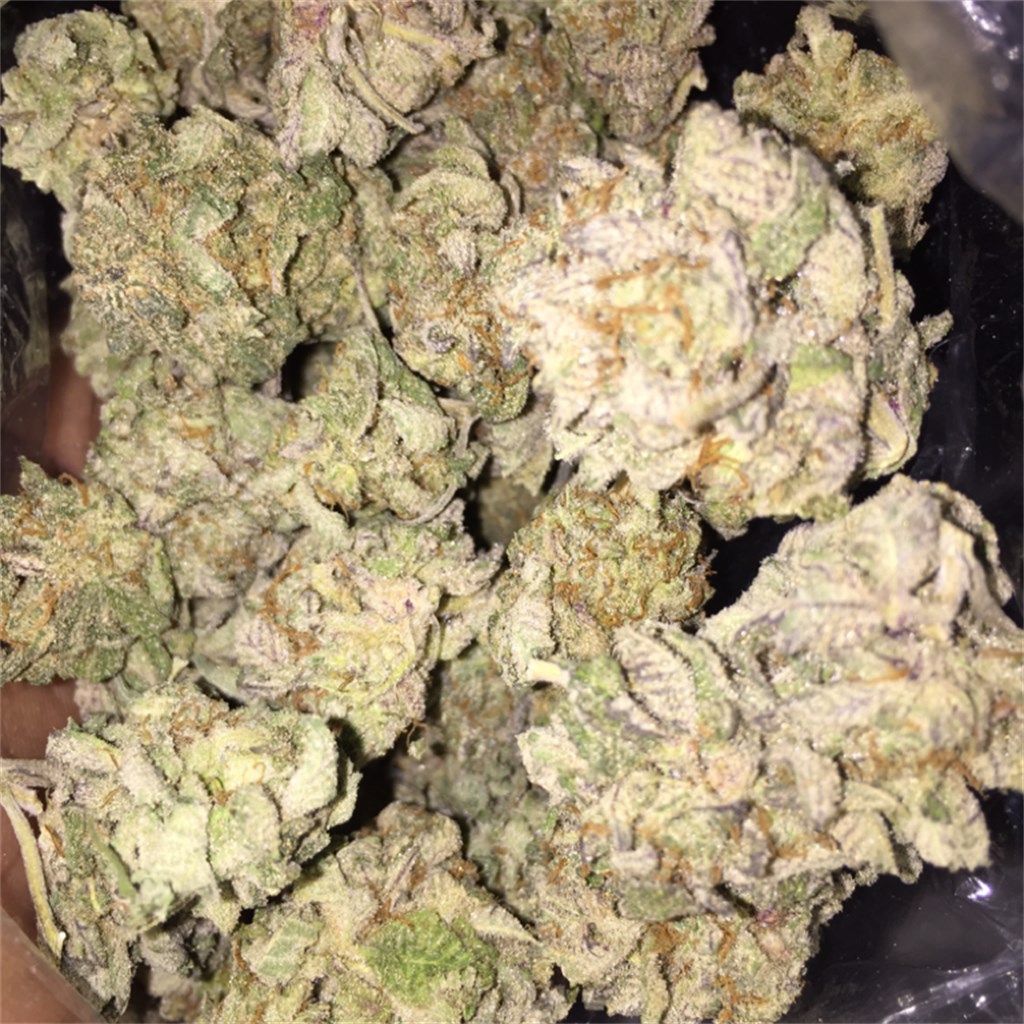 Buy Jack Frost Weed Online