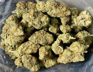 Buy Jack Herer Weed Online