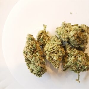 Buy Jack One Weed Strain