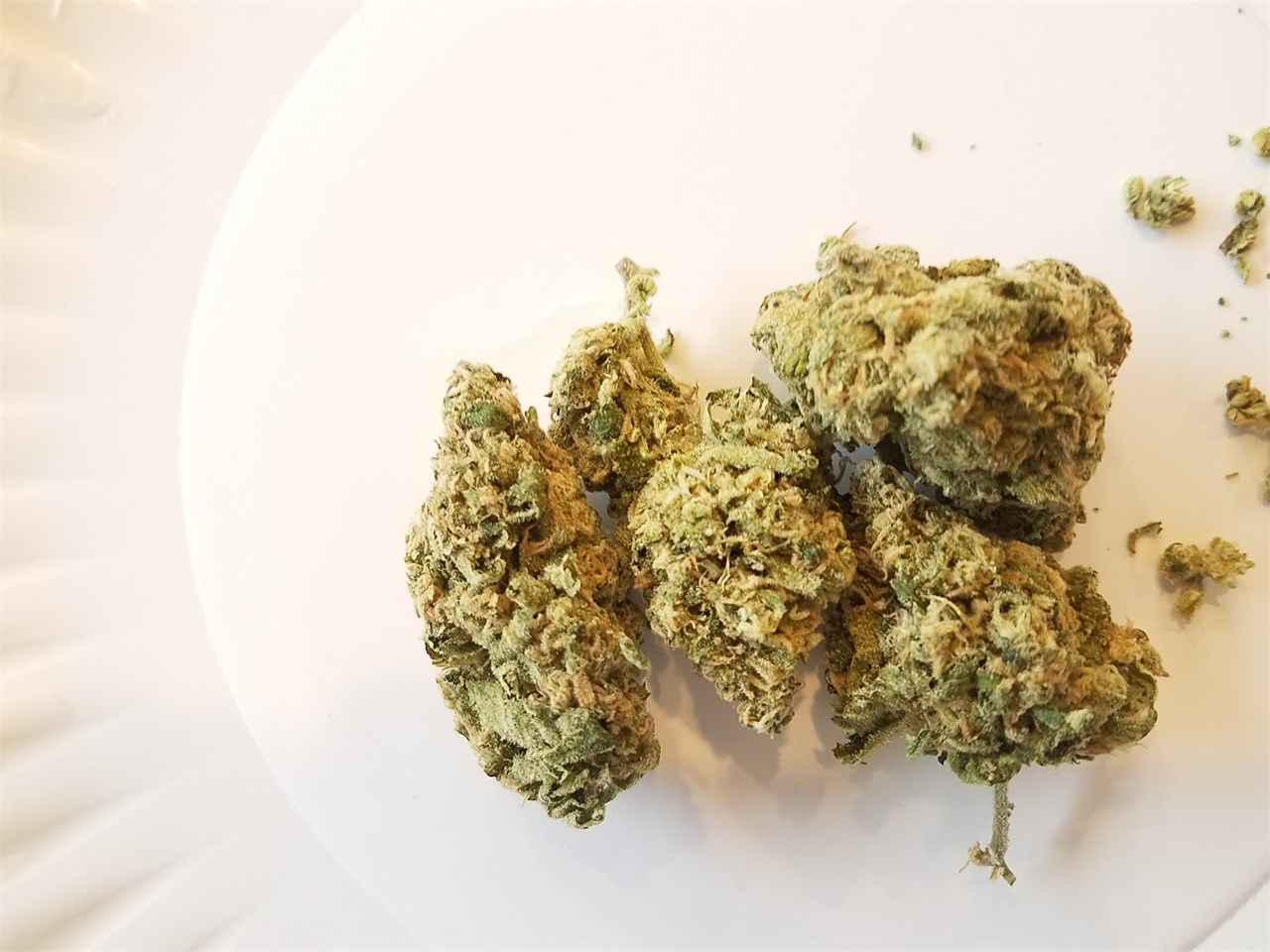 Buy Jack One Weed Strain