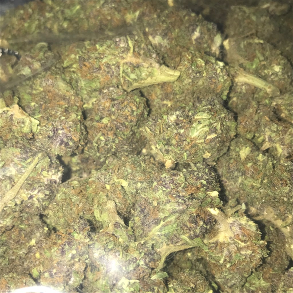 Buy Jager Kush Online