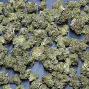 Buy Jamaican Dream Weed Strain