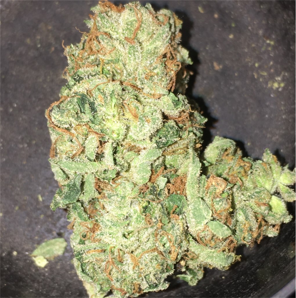 Buy Jesus OG Kush Online
