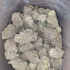 Buy Key Lime Pie Weed Online