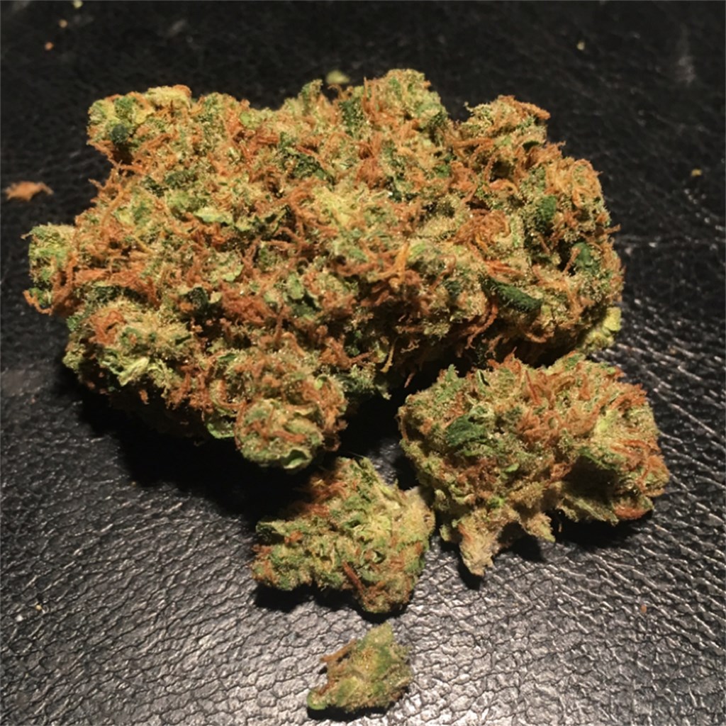 Buy Kilimanjaro Weed Strain online
