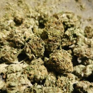 Buy King Tut Cannabis Online