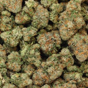 Buy King's Kush Online