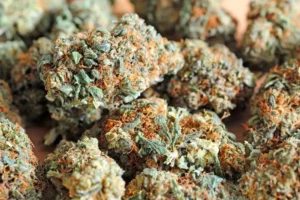 Buy LA Confidential Weed Online