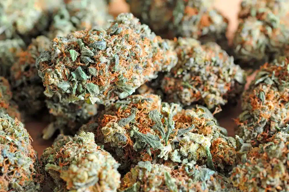 Buy LA Confidential Weed Online