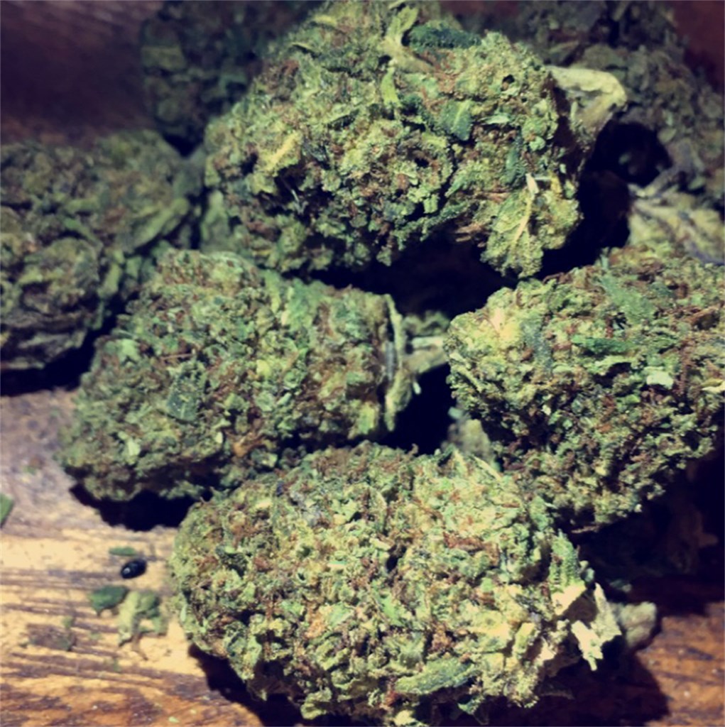 Buy LSD Weed Strain Online