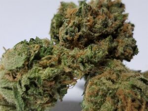 Buy Lamb's Bread Cannabis Online